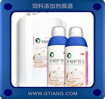 肝精護腎靈-增強種鴿體質 保護肝腎 促進食欲