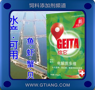 蝦用多維-給它蝦用多維