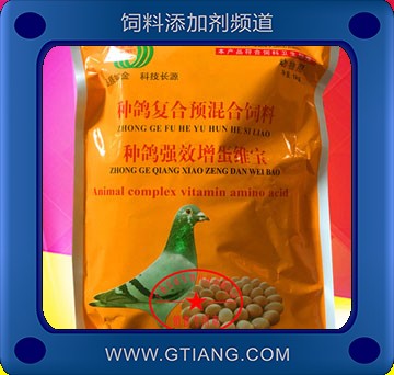 種鴿強效增蛋維寶-金源種鴿強效增蛋維寶