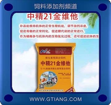 21金維他-中精21金維他
