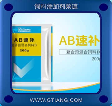AB速補-正典AB速補