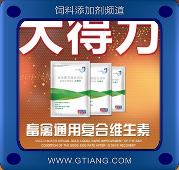 大得力-禪泰大得力
