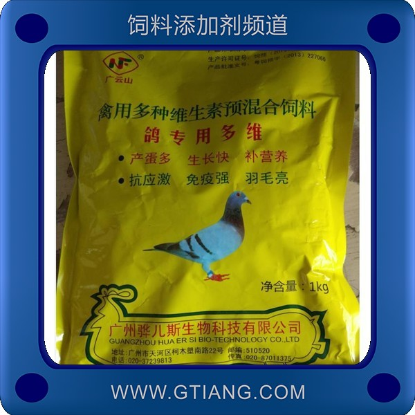 鴿專用多維.png