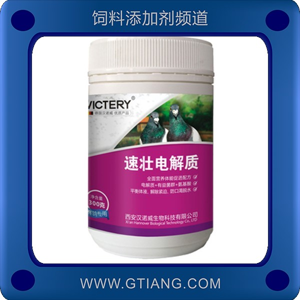 速壯電解質-漢諾威速壯電解質 補充營養(yǎng)強壯體能