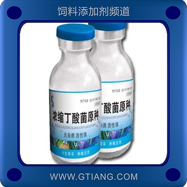 濃縮丁酸菌原種-賽美騰濃縮丁酸菌原種 促進腸道有益菌群增殖