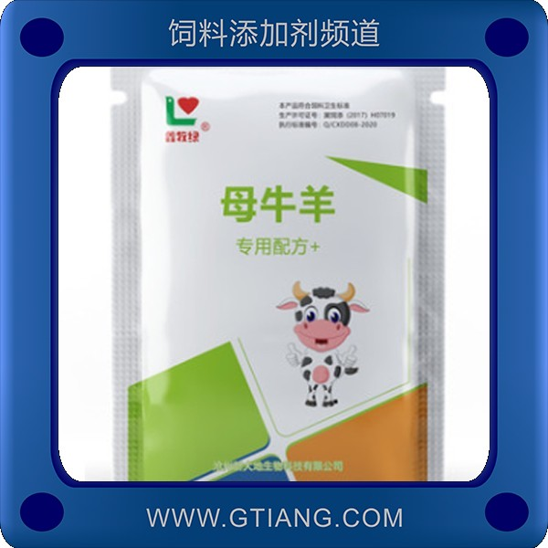 母牛羊-鑫牧綠母牛羊 提高哺乳期采食量